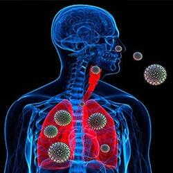 DR. CAMERINO ENRIQUE MORENO ORTEGA