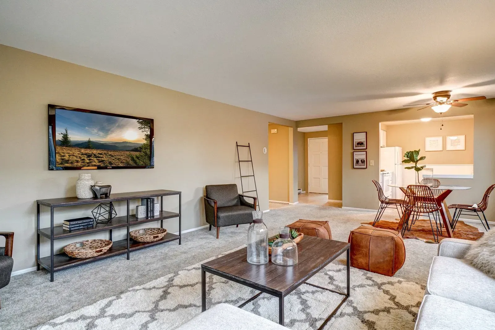 Living room with a TV, metal shelves, a leather armchair, and a rug.