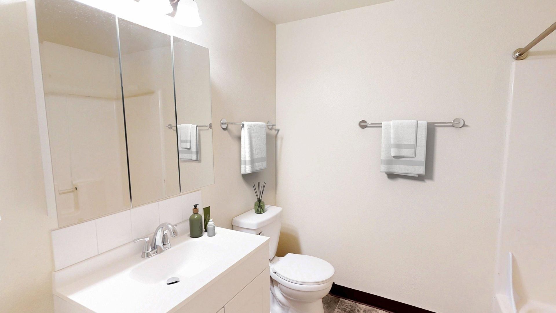 Bathroom with white sink and toilet, large mirror, and towel rack.
