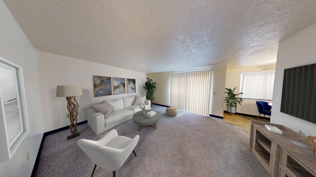 Living room with a sofa, armchair, coffee table, rug, TV, and sliding door.