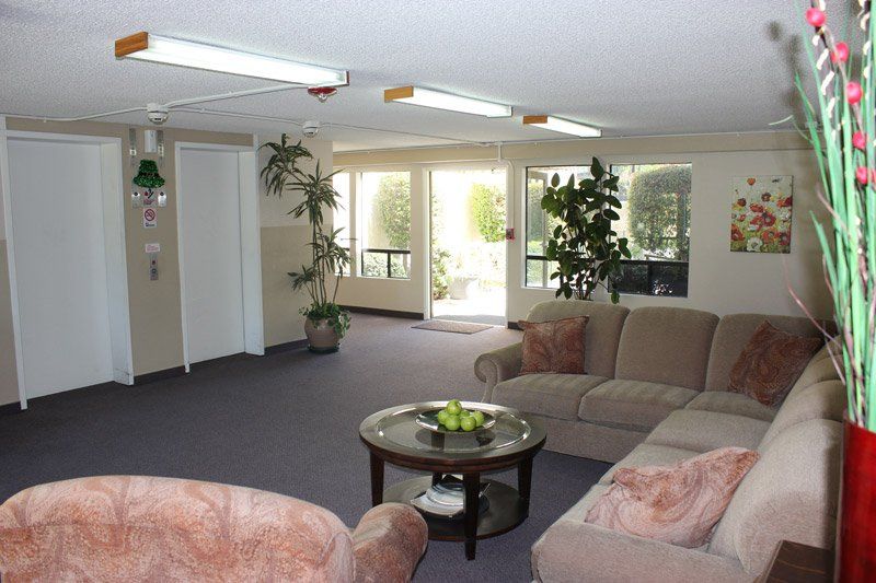 tan couches open room