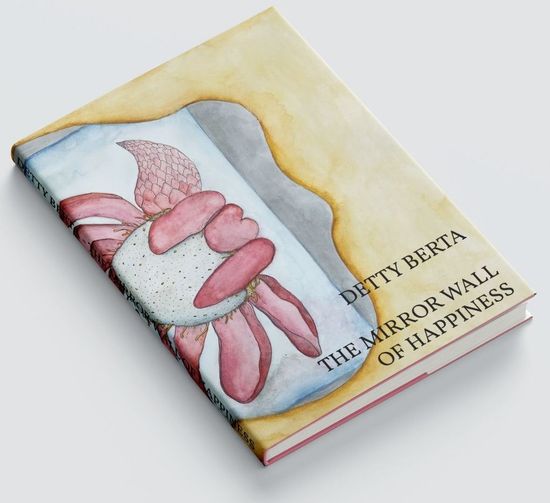 The Mirror Wall of Happiness book cover