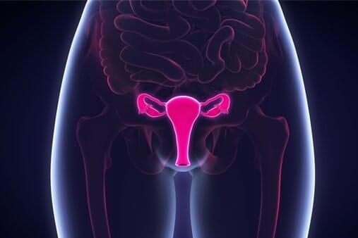 DRA. MARÍA DEL ROSARIO VARELA MORÁN