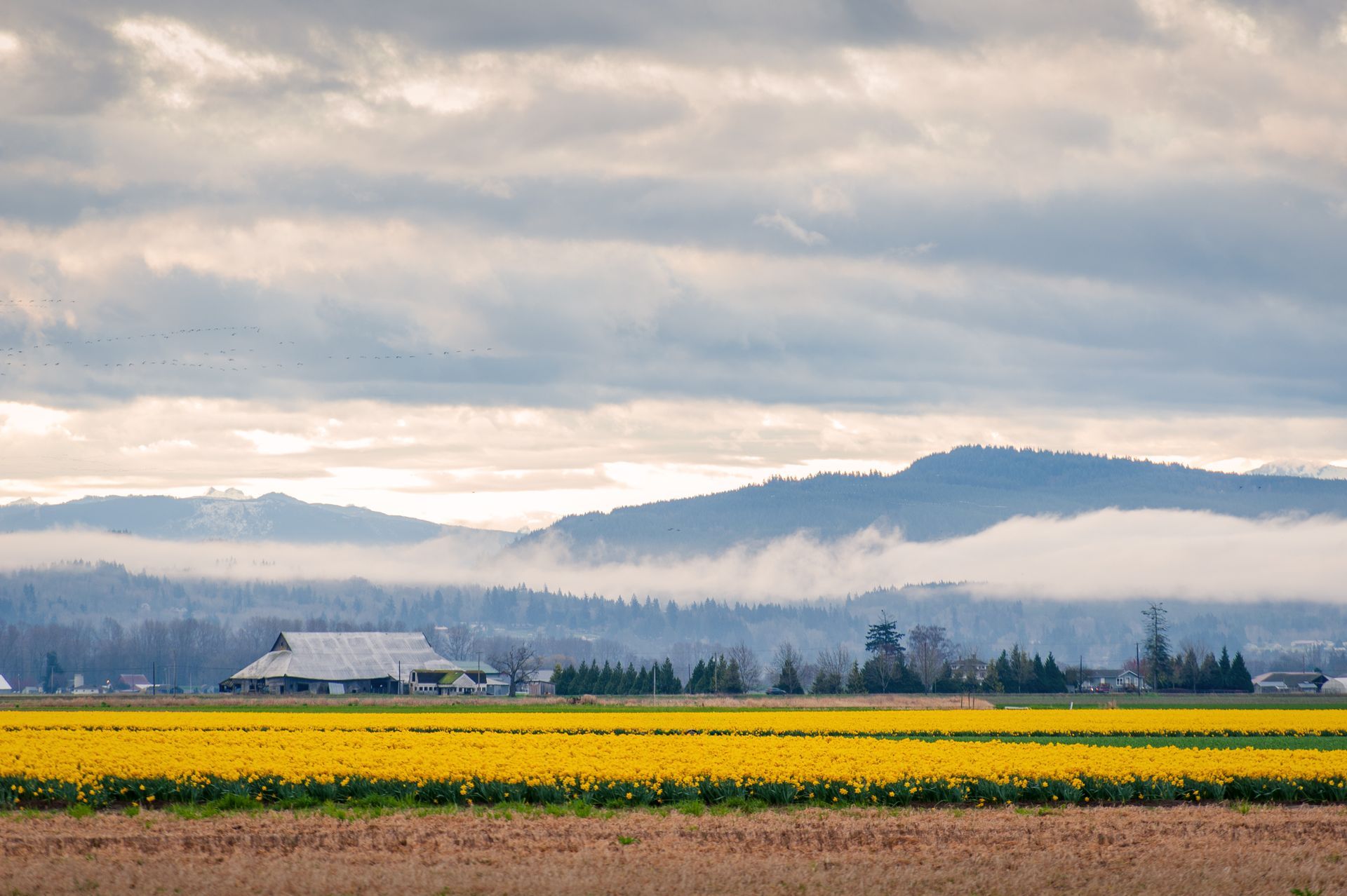 Skagit & Kitsap Counties Property Management