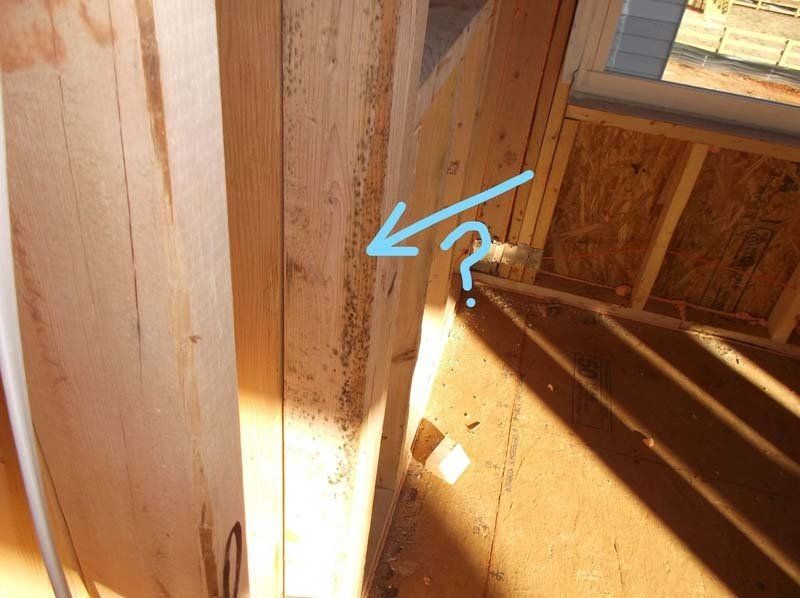 A wooden wall with a blue arrow pointing to a question mark