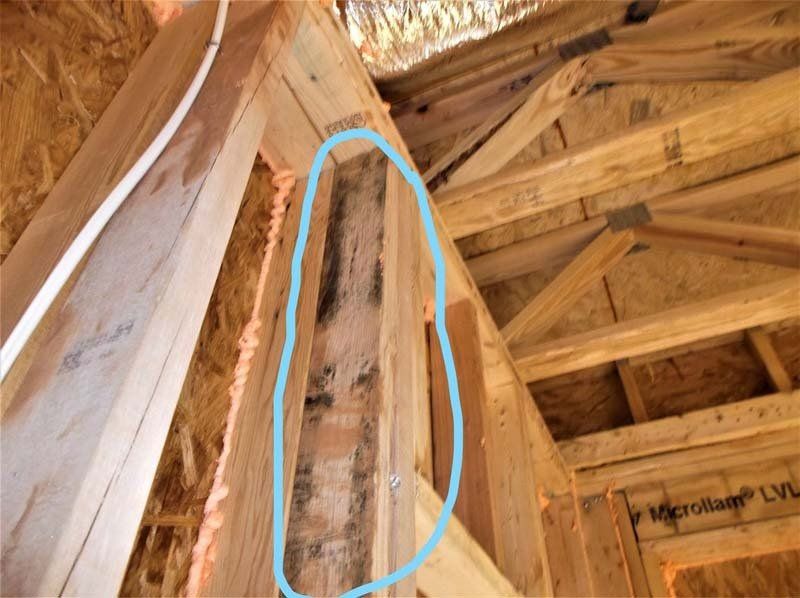 A picture of a wooden structure with a blue circle around it
