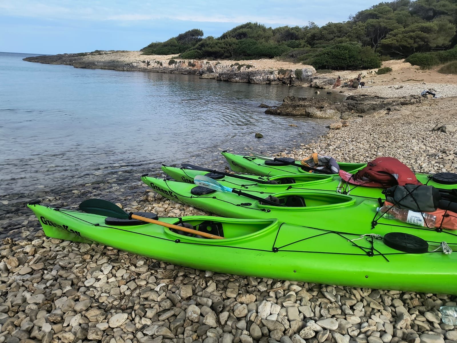 Kayak di un verde brillante allineati su una costa rocciosa accanto a calme acque blu e a una costa boscosa
