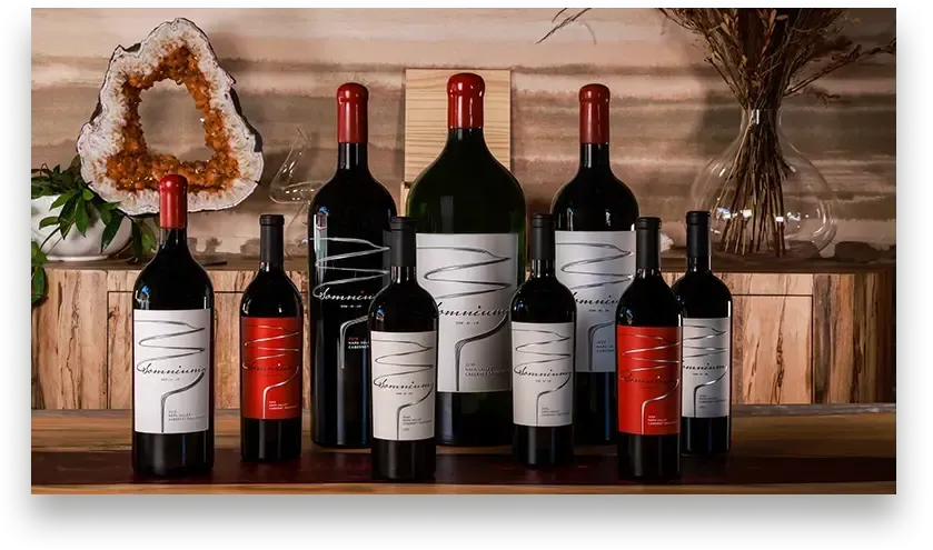 Several wine bottles on a wooden surface, varying sizes and labels, with a backdrop of a geode and rustic decor.