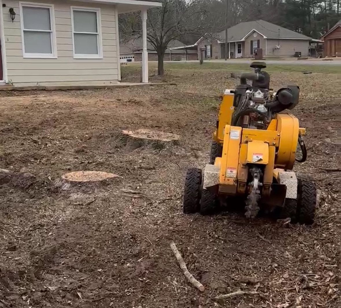 Tree Removal