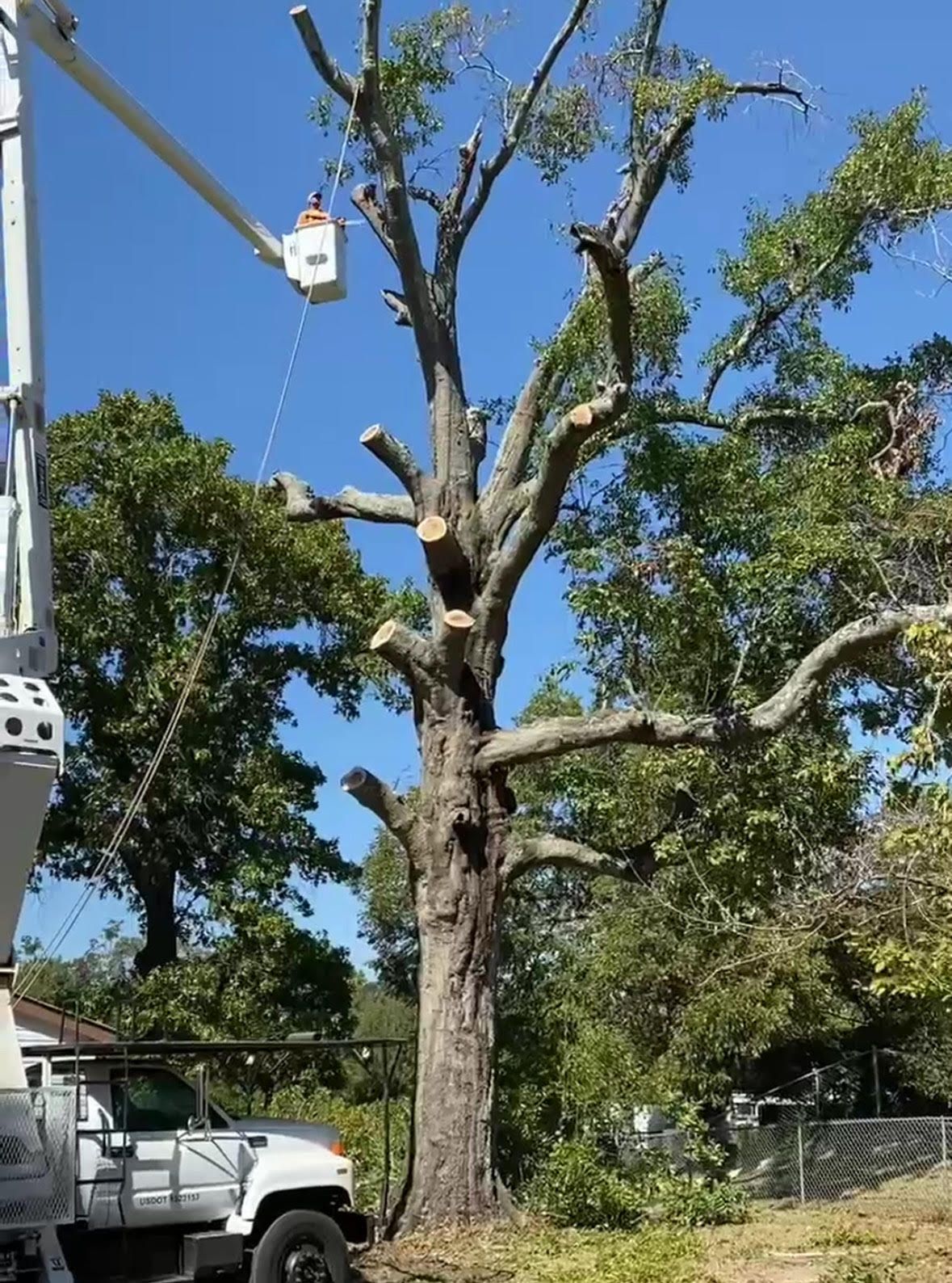 Reliable hauling services