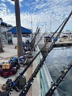 Fishing rods lined up on a dock, blue sky and water, other boats and buildings in background.