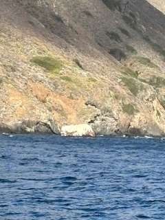 Rocky hillside meeting deep blue ocean.
