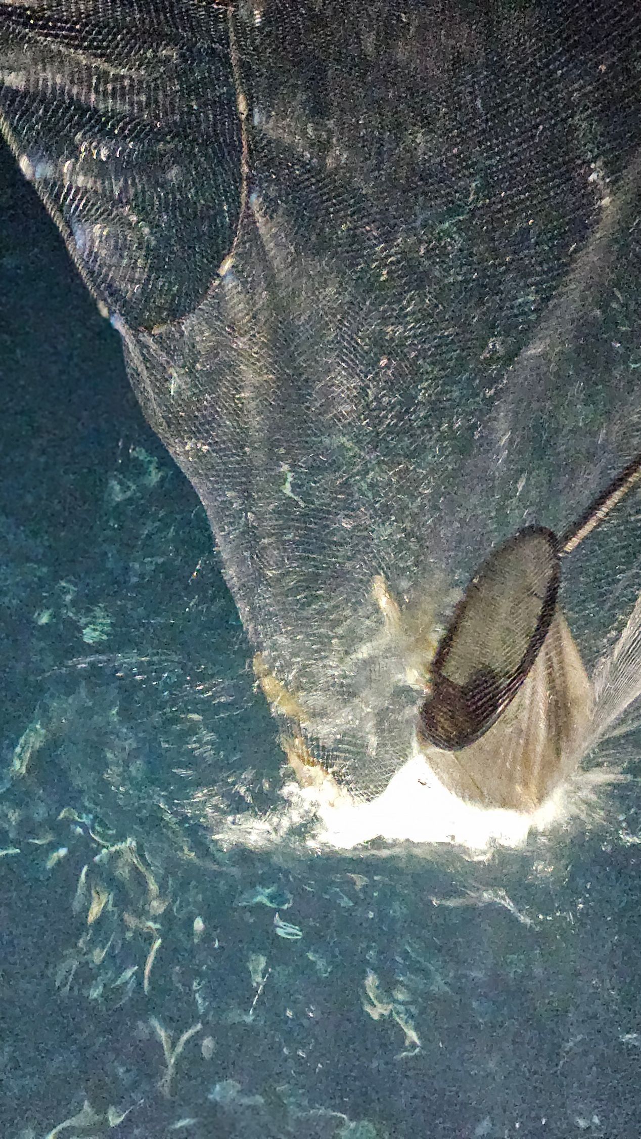 Man fishing from a boat at night; pulling on a fishing rod over dark blue water.