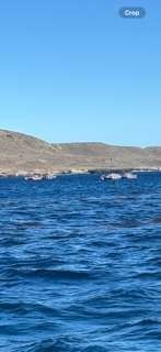 Blue ocean water with a landmass in the background under a clear sky.