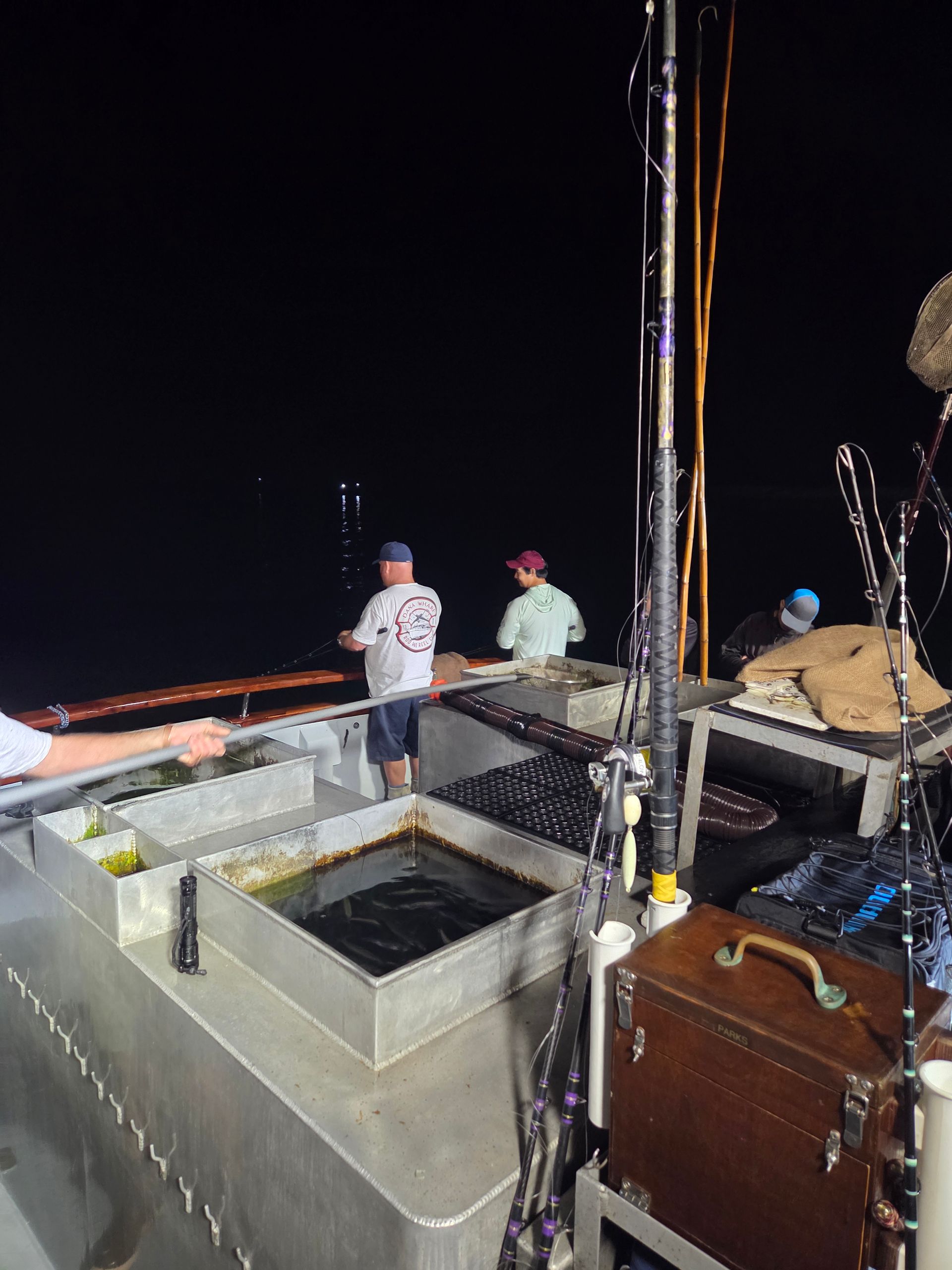 Man on a boat holding a large fish, smiling at the camera. Mountains and water in the background.
