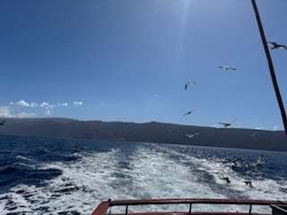 Boat moving across ocean, birds flying overhead. Mountains visible in distance under a sunny, blue sky.