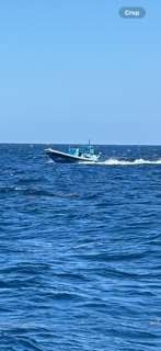 A boat speeds across blue ocean water under a clear blue sky.