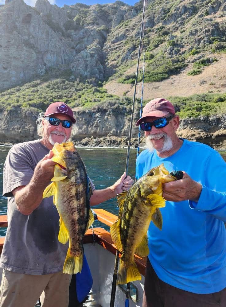 A fishing net scooping up fish in dark blue water.