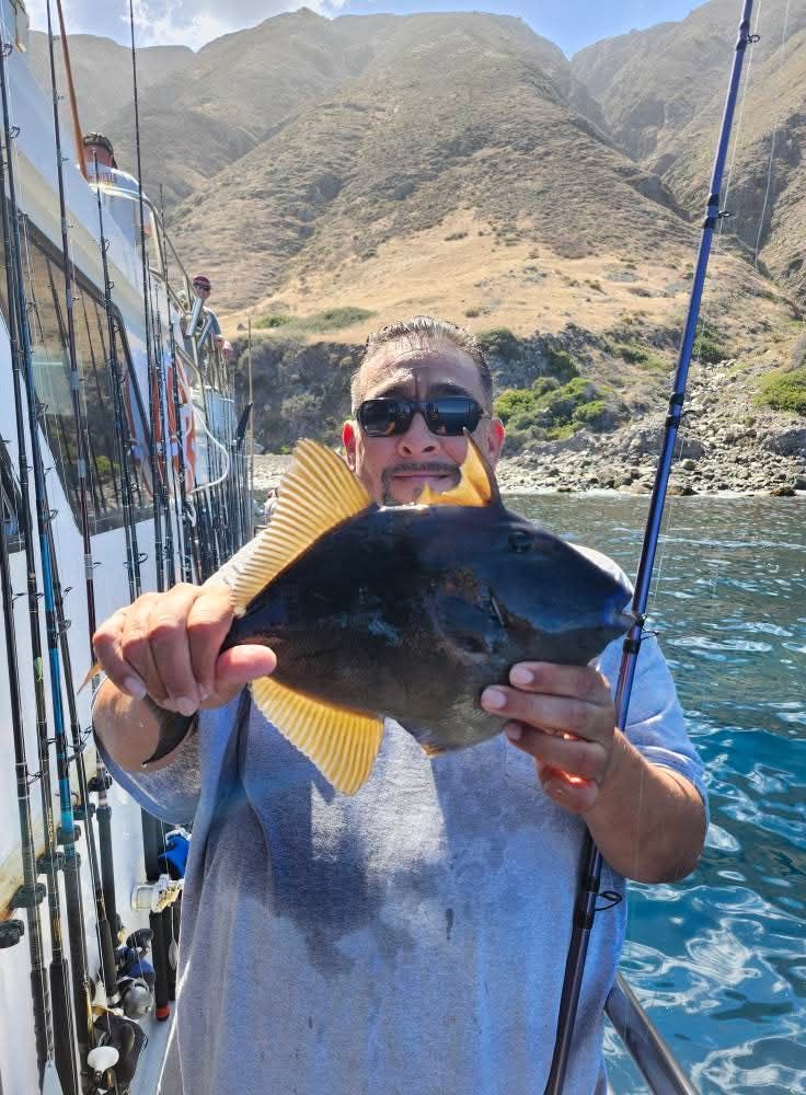 Man holding a black and yellow fish on a boat, mountains in the background.