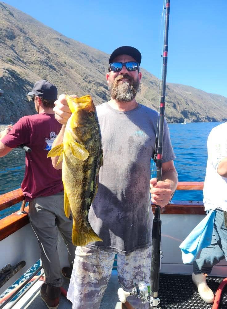 Man on a boat holding a large yellow and brown fish. Sunny day, blue water, and mountains in the background.