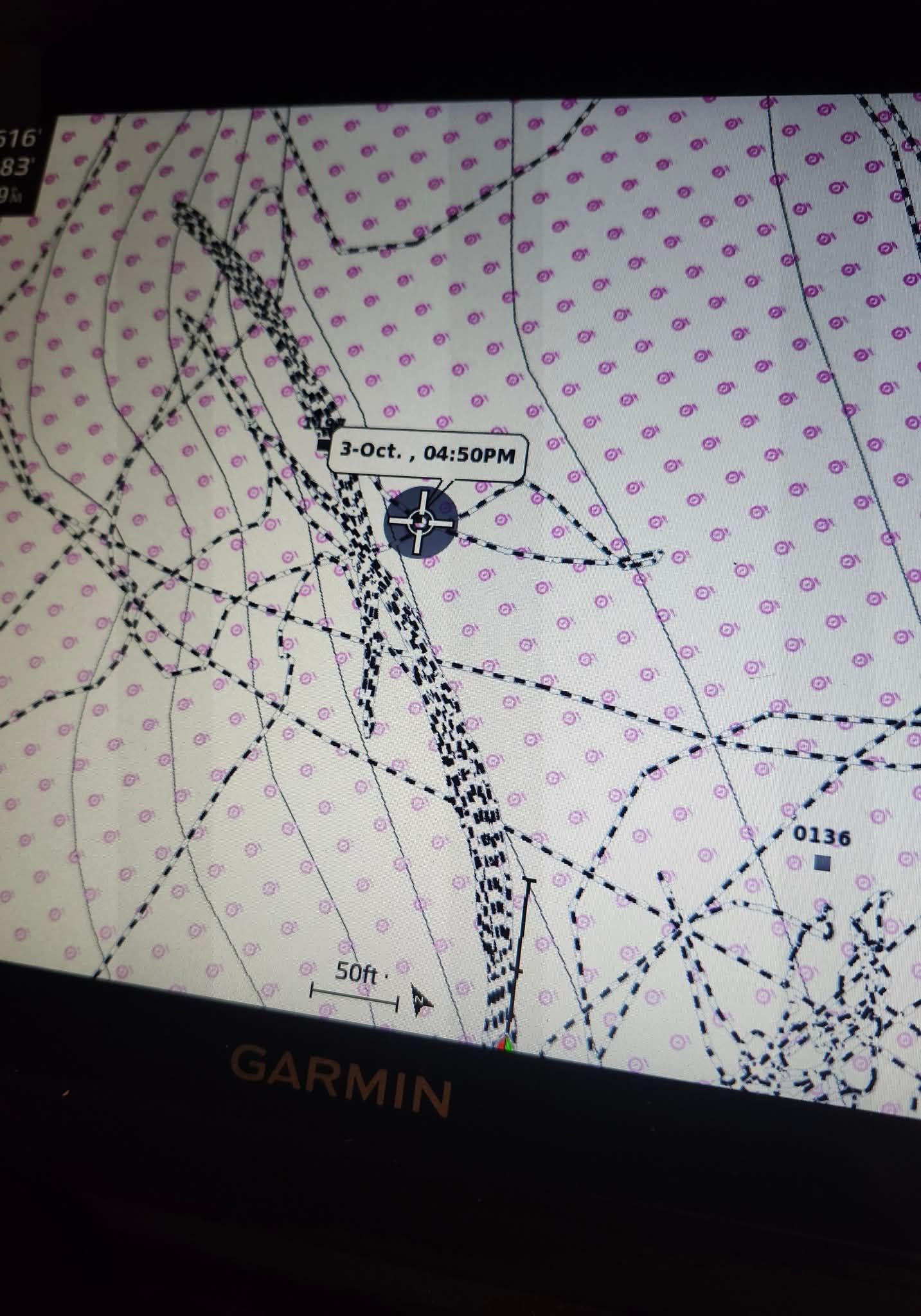 Man on boat holding a spotted fish, ocean and cliffs in the background.