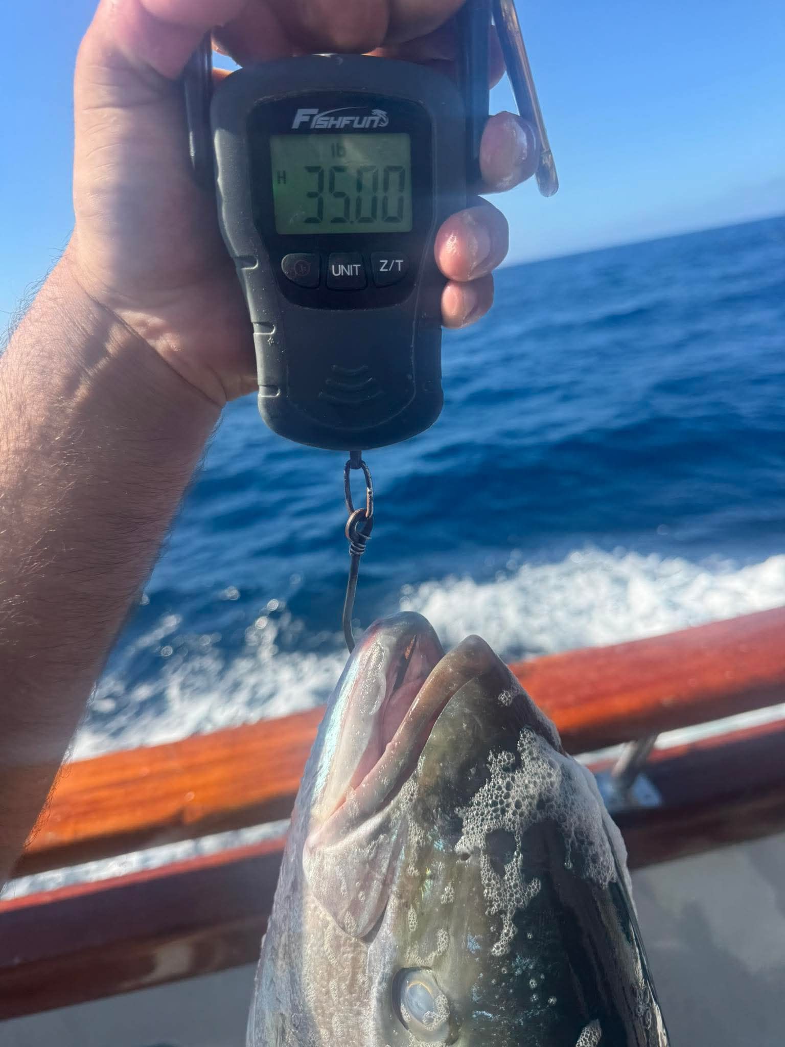 Several fish in a white container with some blood, including a yellowtail and a flounder.
