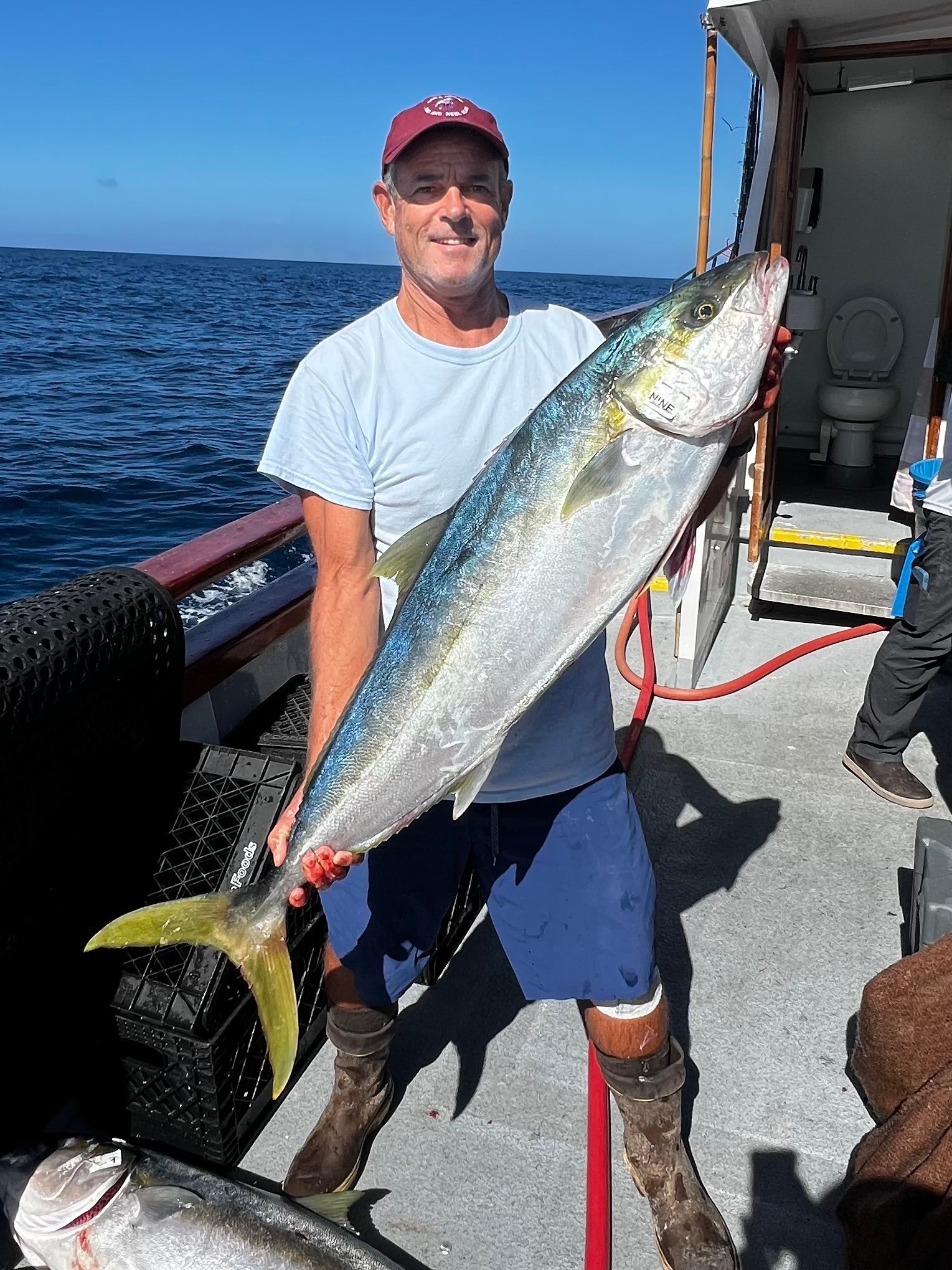 Man on a boat holding a large yellowtail fish, smiling. Sunny day, blue water.