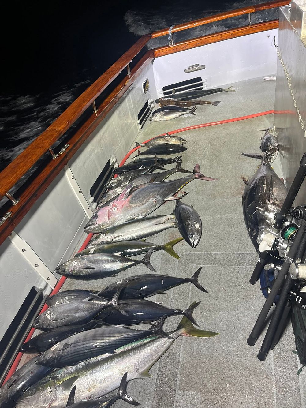 A boat deck with a large haul of various fish, including tuna, after a fishing trip.