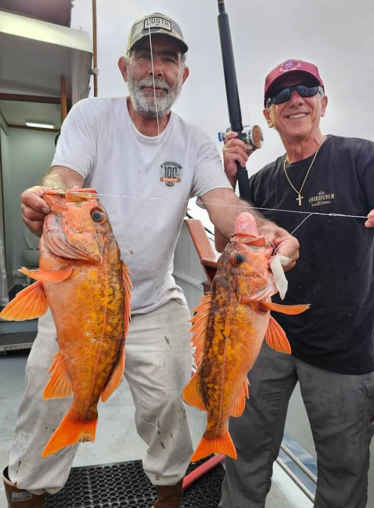 Two men on a boat holding a large brown fish. Sunny day, blue water.