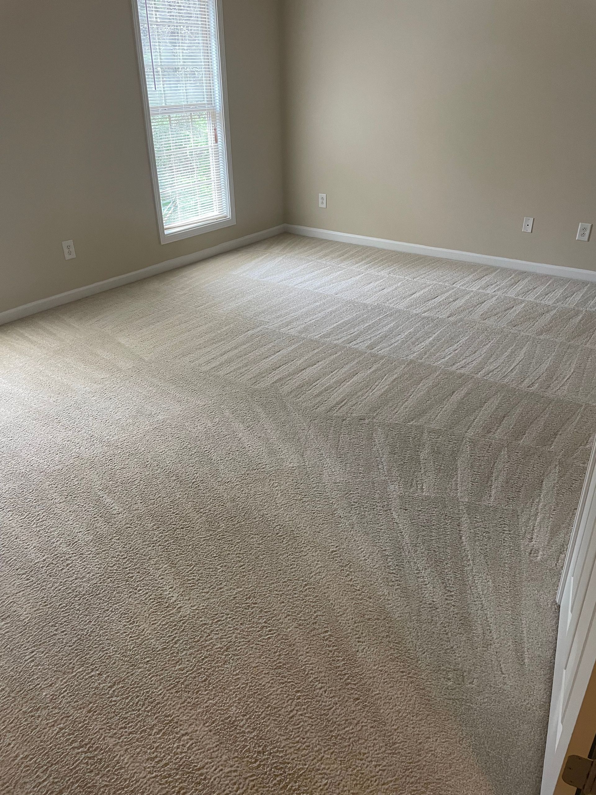 A bedroom with a large carpeted floor and a window.