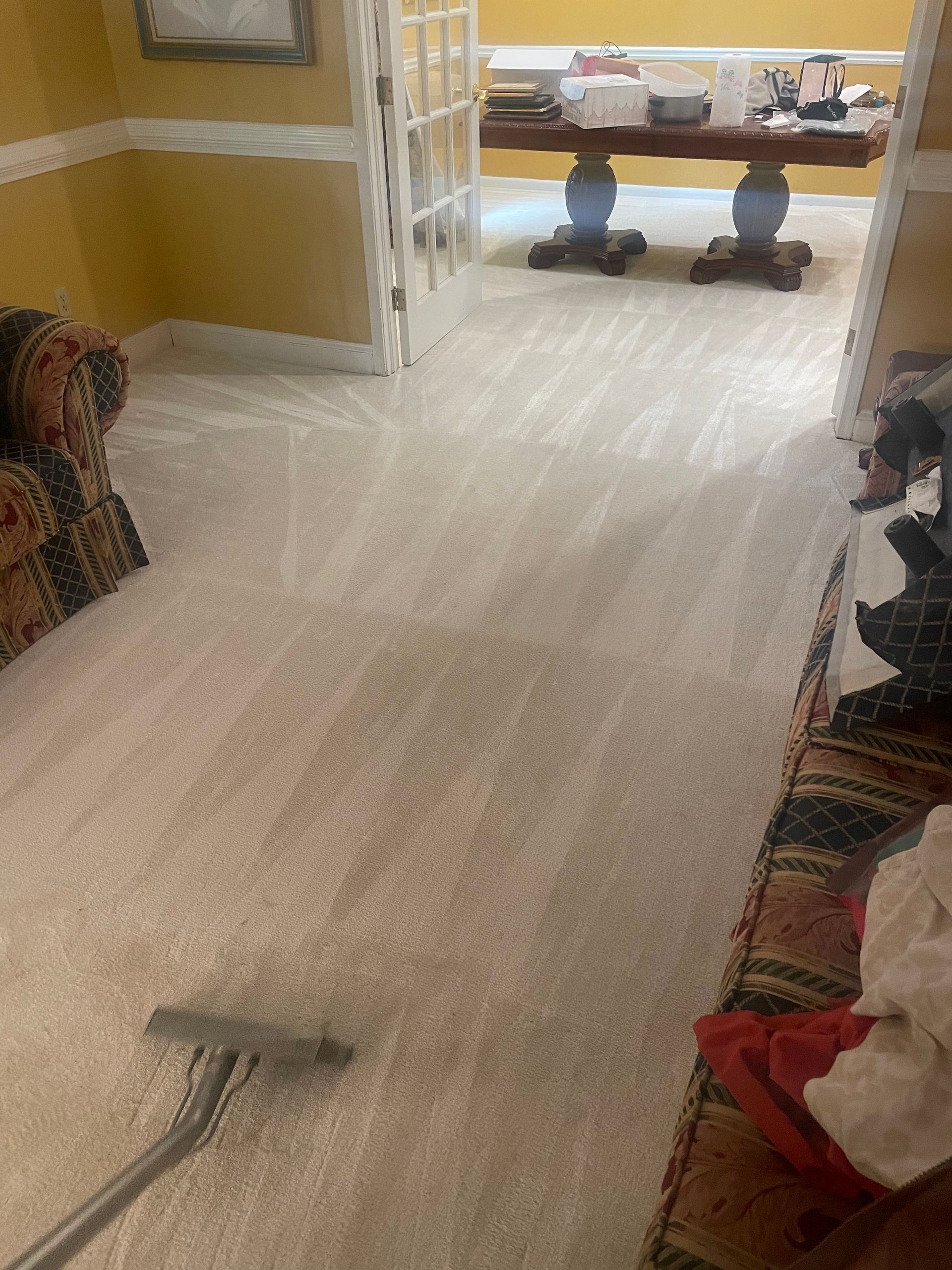 A vacuum cleaner is cleaning a white carpet in a living room.