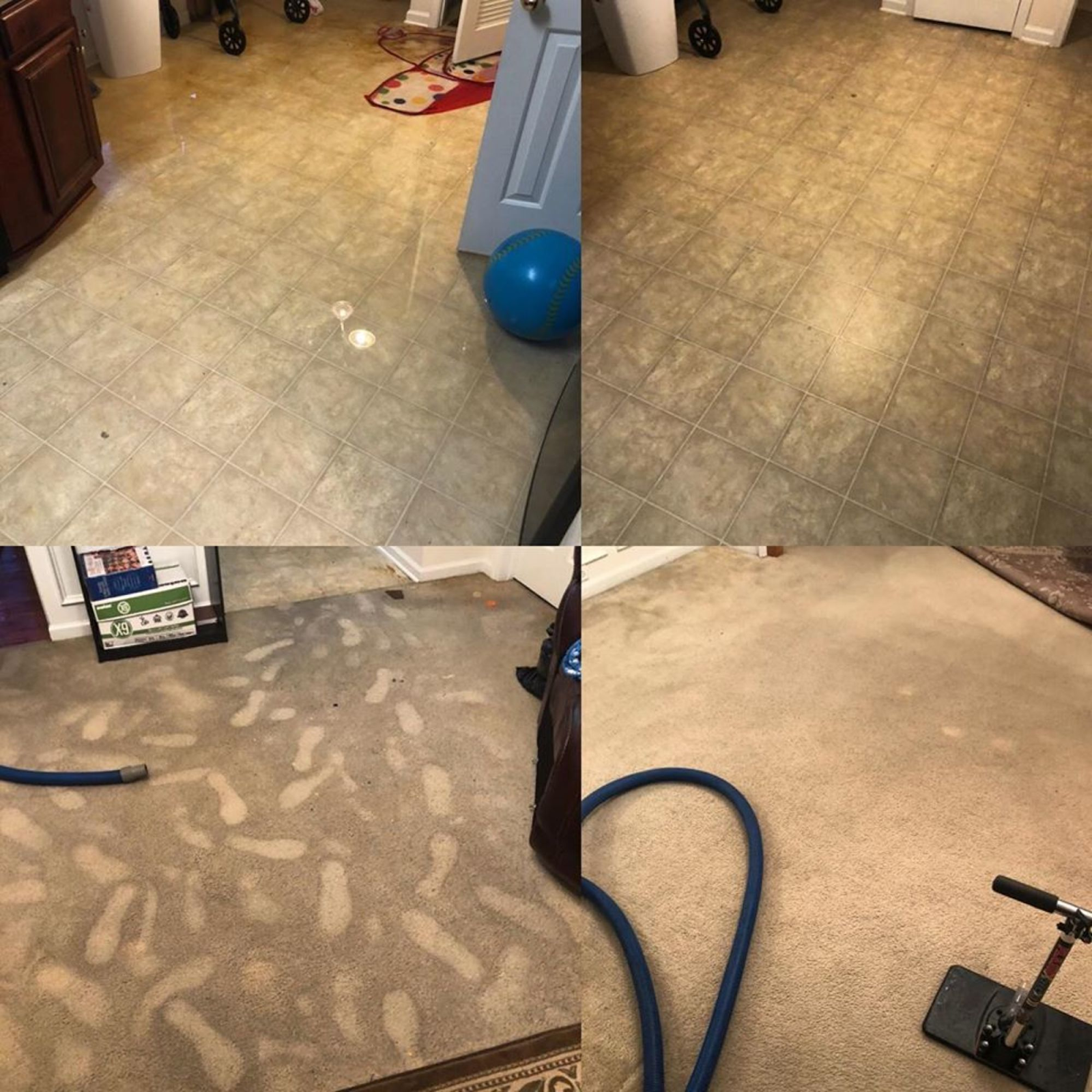 A vacuum cleaner is being used to clean a carpet