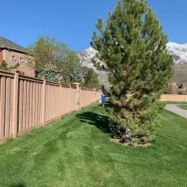 A person in a blue shirt walks along a grassy path beside a tan fence, with a large pine tree and snow-capped mountains.
