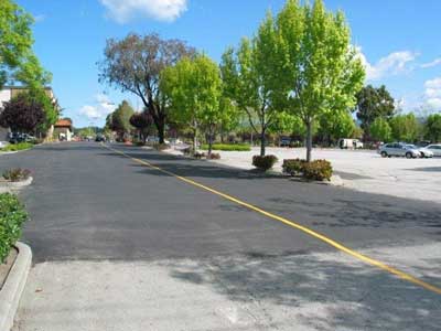 Asphalt Road with Trees — Santa Cruz County — Wenger Paving