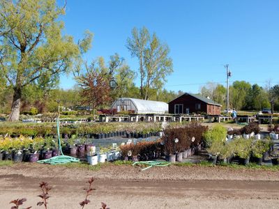 Nursery Services Programs Barker Creek Nursery