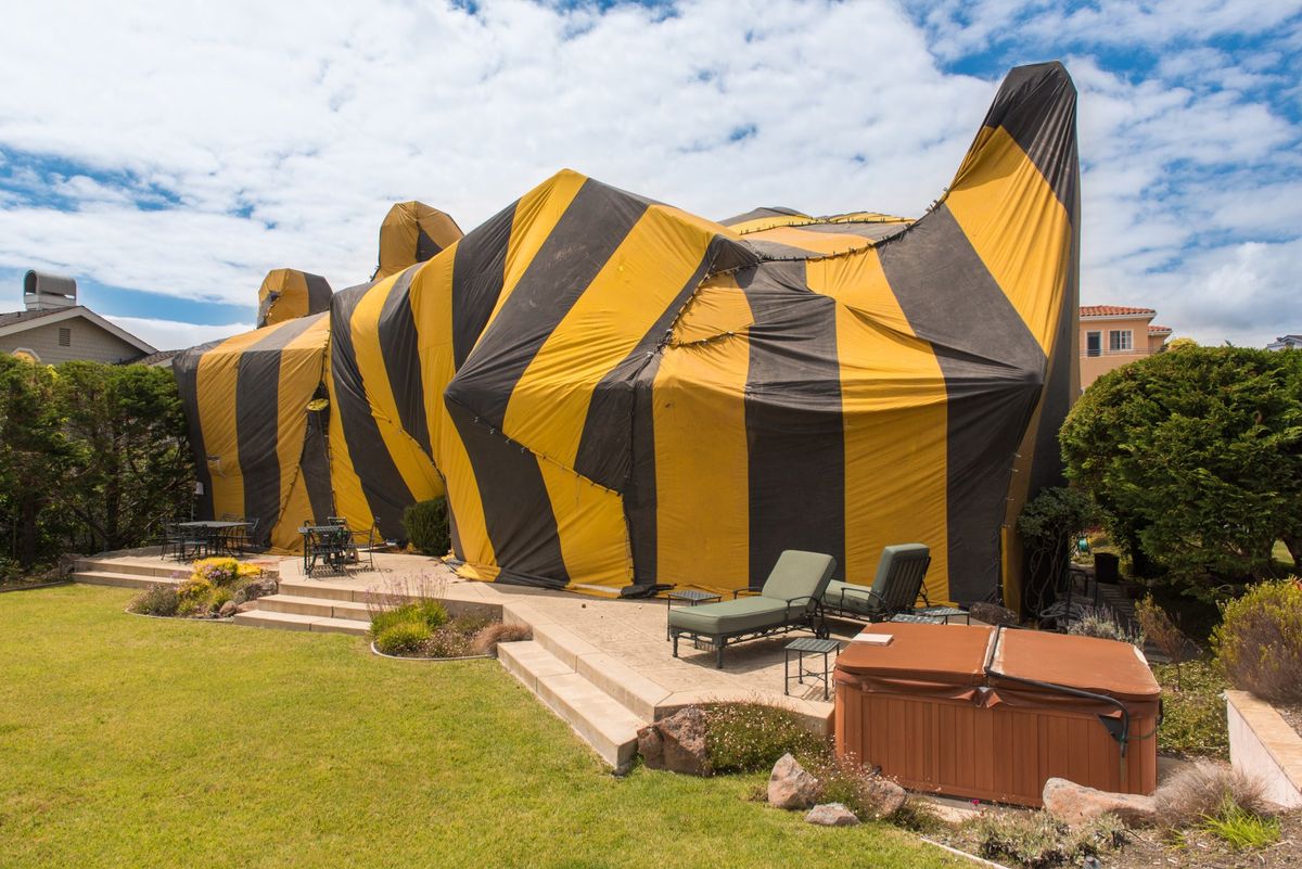 house covered in pest repellent tent