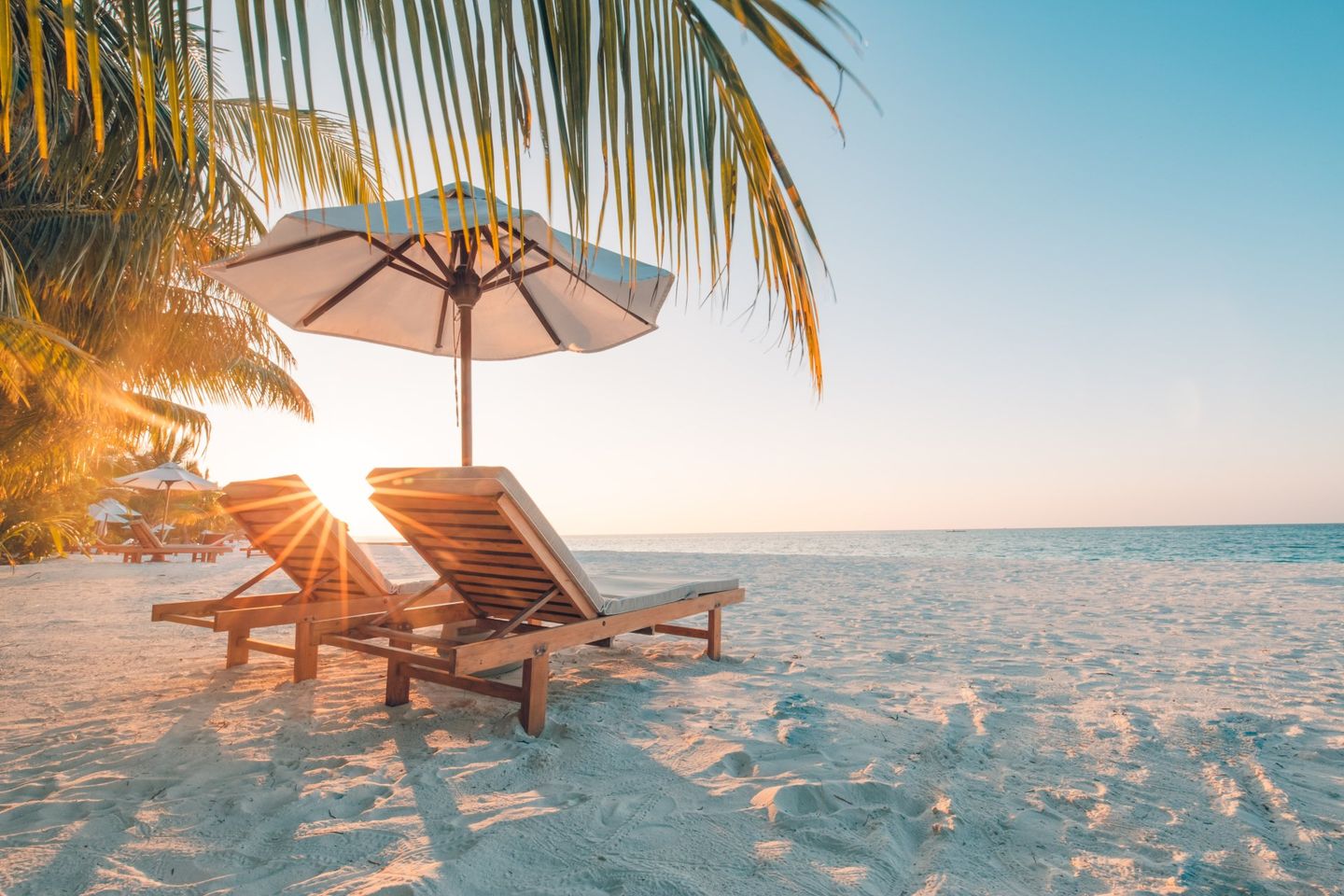 lounge chairs on the beach under a palm tree during sunrise