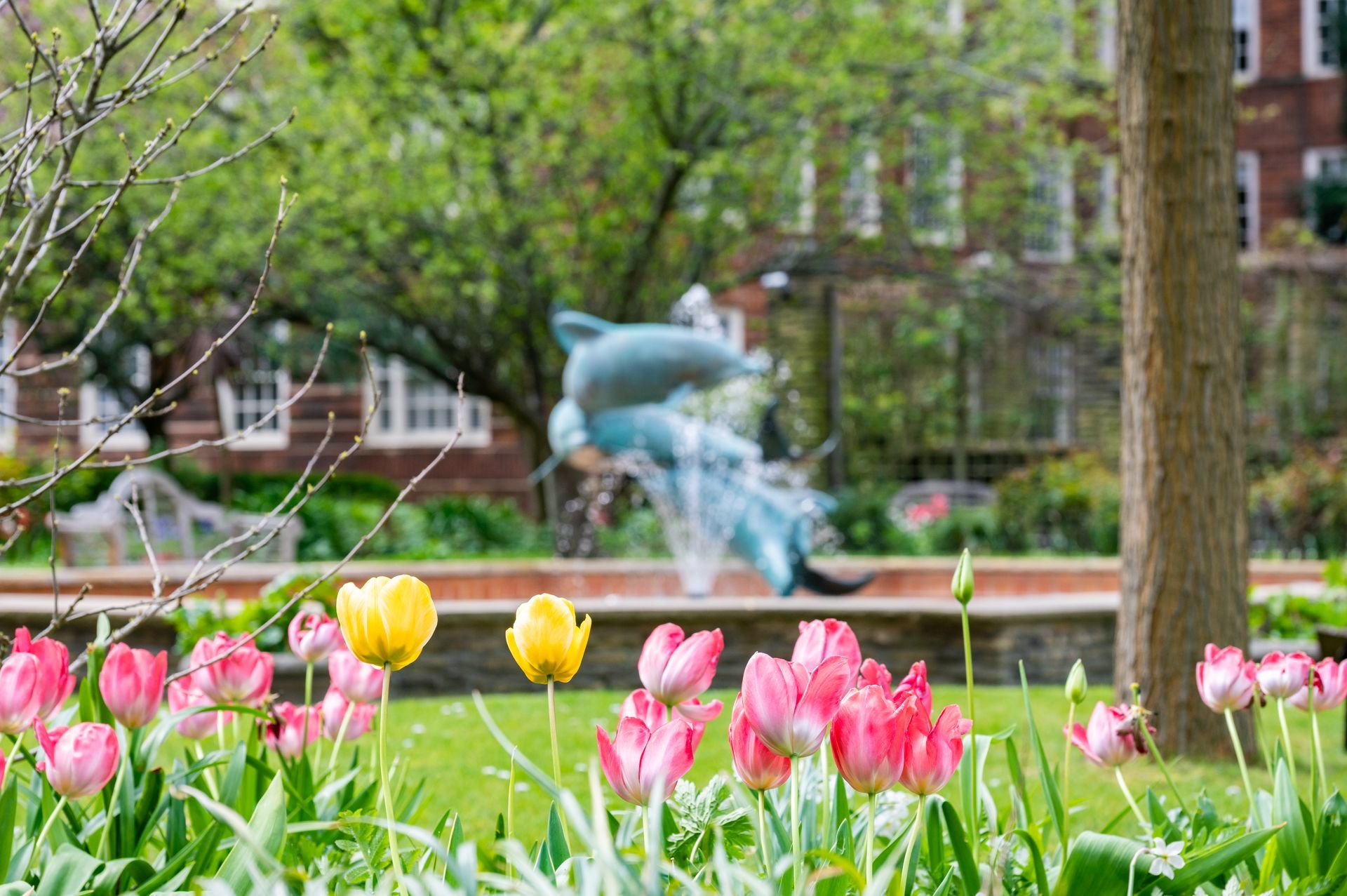 A bunch of flowers in a garden with a fountain in the background with dolphin.