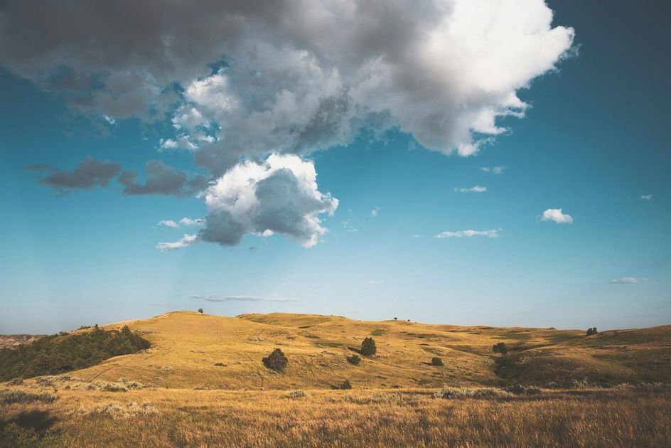 A cloudy sky over a grassy hill with trees in the foreground.