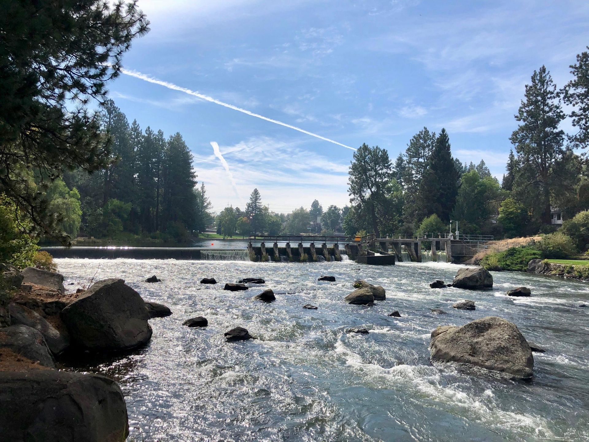 Deschutes River, surrounded by evergreen trees, large stones visible throughout the river.