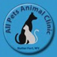 Veterinarian | Nutter Fort, WV | All Pets Animal Clinic