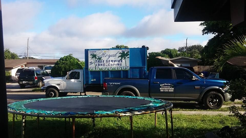 A blue truck is parked next to a trampoline.