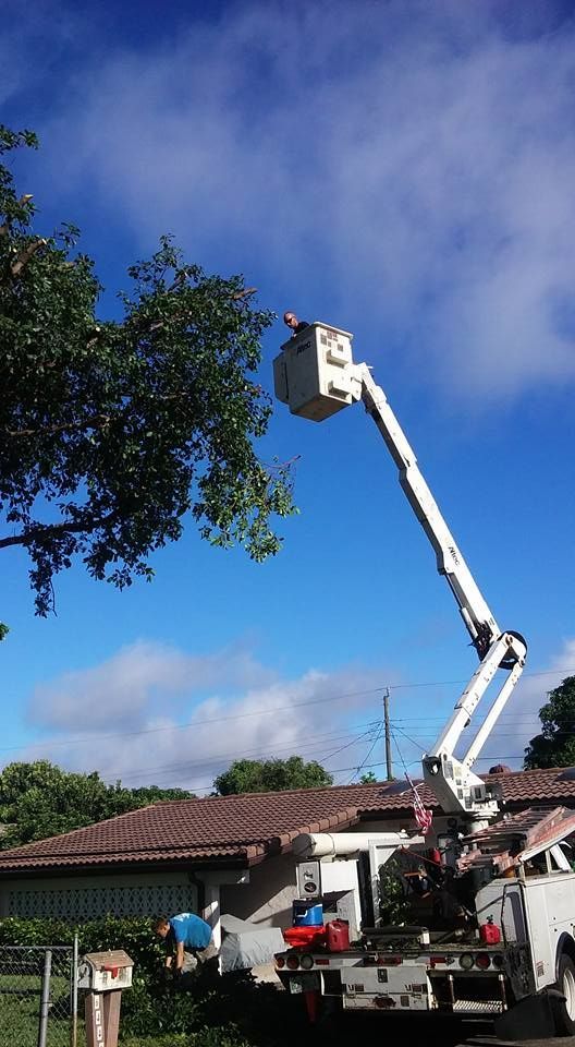 A crane is cutting a tree in front of a house.