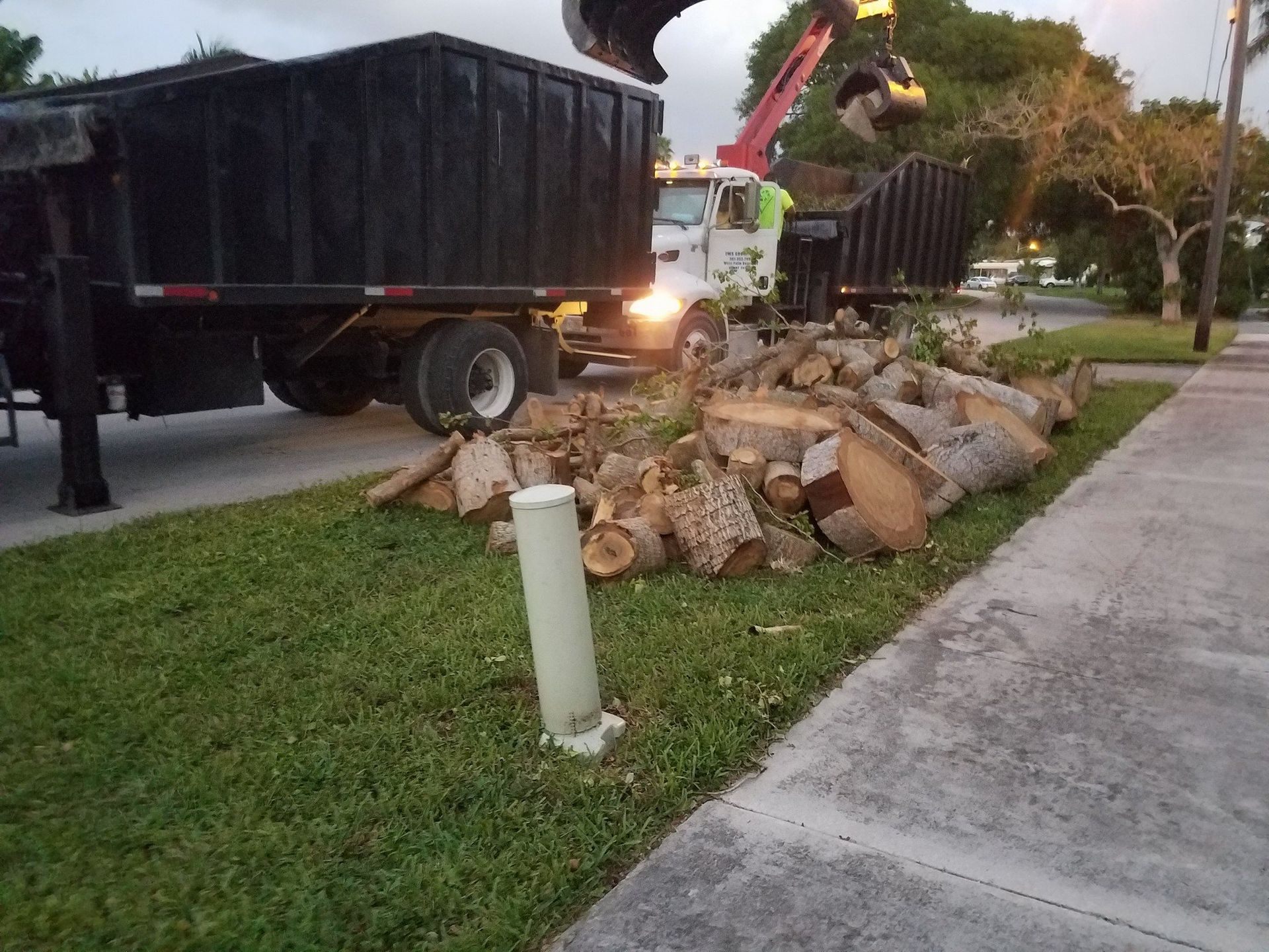 A dump truck is carrying logs on the side of the road.
