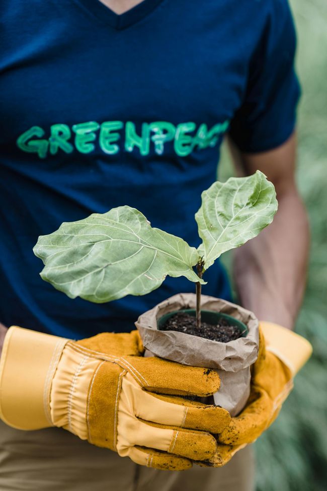 A man wearing gloves is holding a small plant in his hands.