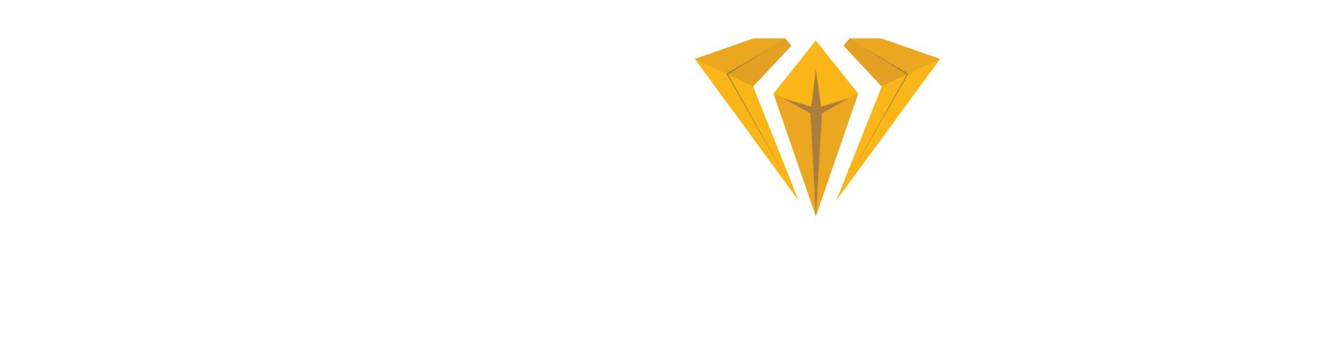 Diamond Believer Logo
