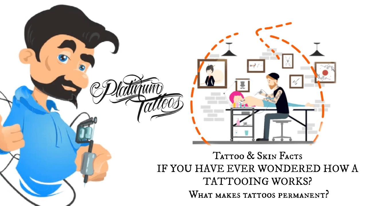 Tattoo & Skin Facts