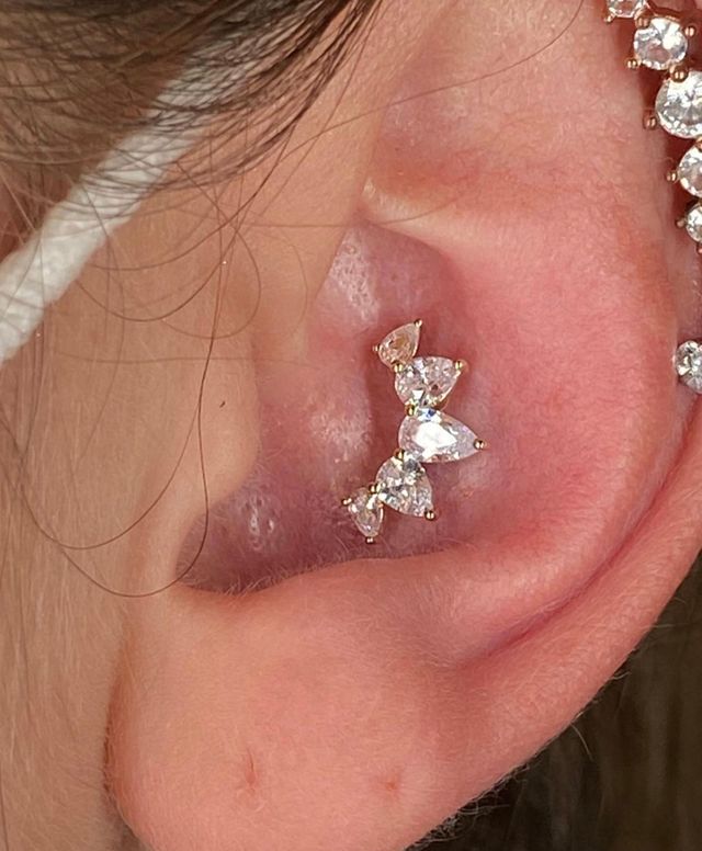 Vervullen microfoon Ontdek What you should know about getting a Conch Piercing