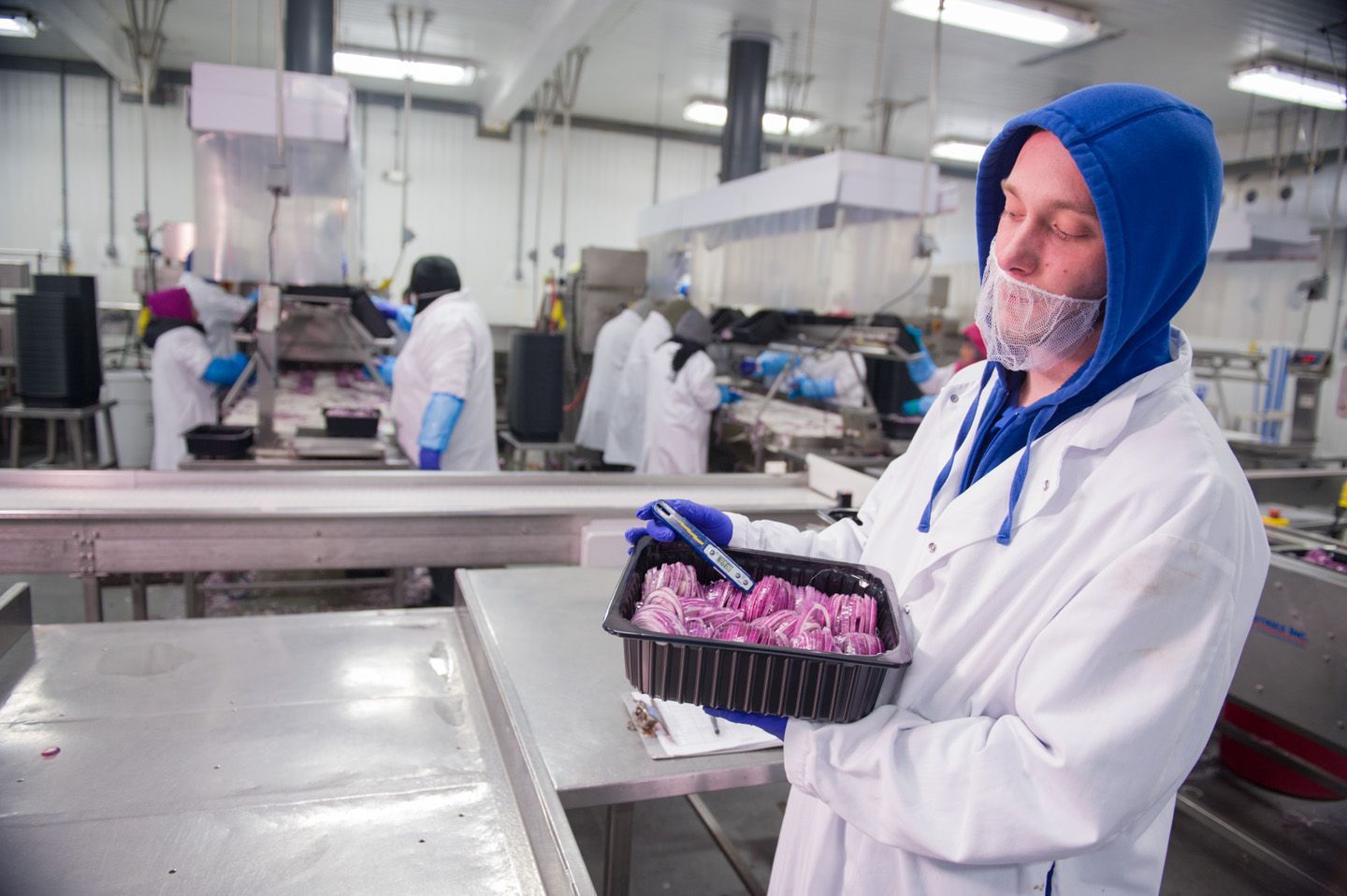 Food Safety Standards at the Hanline Group | Ensuring Quality