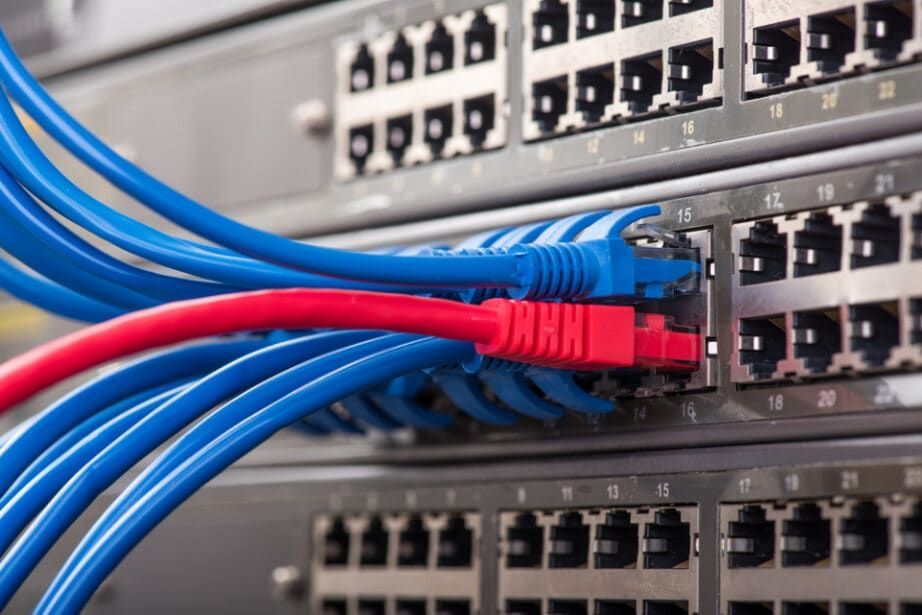 Network Switch with Blue and Red Ethernet Cables Plugged in — Pacific Telephone & Data In Cardiff, NSW